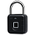 Via Security VL-1F/TB зі зчитувачем відбитка пальцю Замок навісний