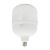 Лампа VG-60W E27 6500K 160*262мм 220V, Box