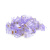 Конектор Noname RJ-45 8P8C UTP Cat-5 (100 шт / уп.) Q100 Violet Конектор Noname RJ-45 8P8C UTP Cat-5 (100 шт / уп.) Q100 Violet